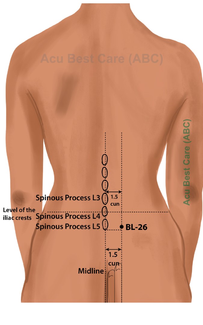 Acubestcare Meridian UB-26 or BL-26